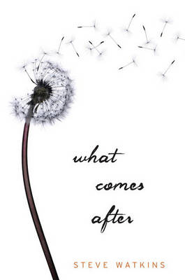 Book cover for What Comes After