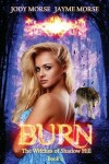 Book cover for Burn