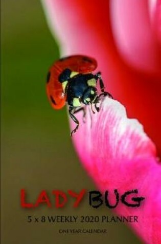 Cover of Lady Bug 5 x 8 Weekly 2020 Planner