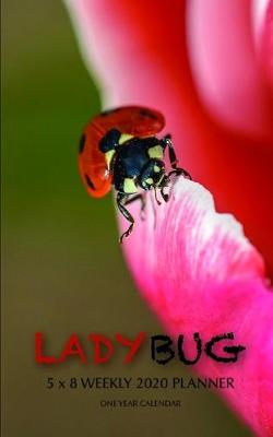 Book cover for Lady Bug 5 x 8 Weekly 2020 Planner