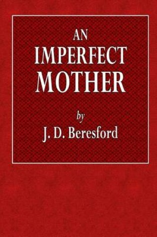 Cover of An Imperfect Mother