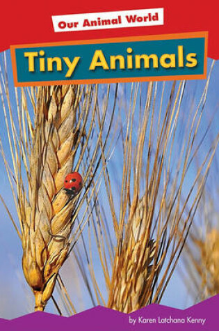 Cover of Tiny Animals