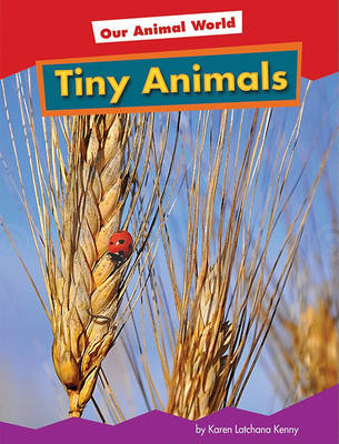 Book cover for Tiny Animals
