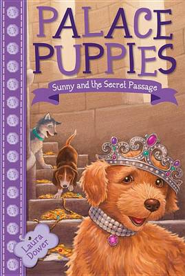 Book cover for Sunny and the Secret Passage