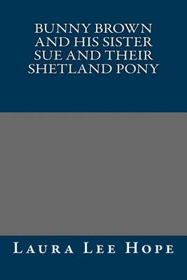 Book cover for Bunny Brown and His Sister Sue and Their Shetland Pony