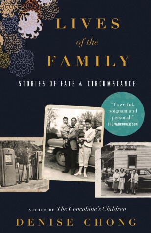 Book cover for Lives of the Family