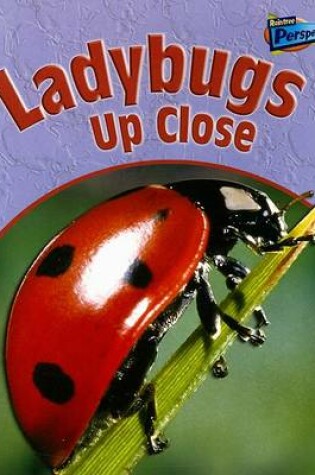 Cover of Ladybugs Up Close
