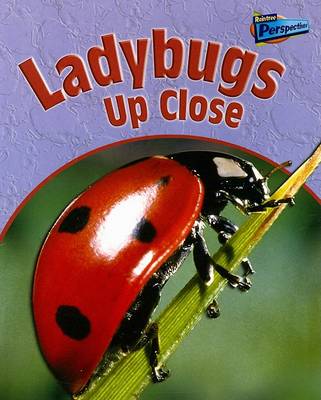 Book cover for Ladybugs Up Close