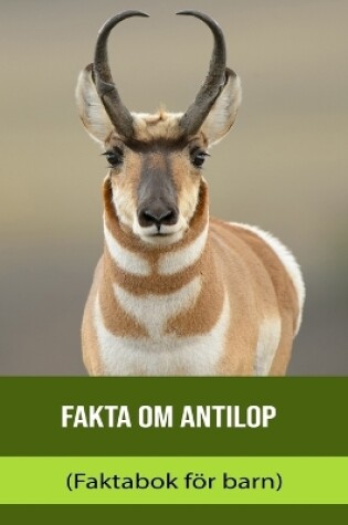 Cover of Fakta om Antilop (Faktabok för barn)
