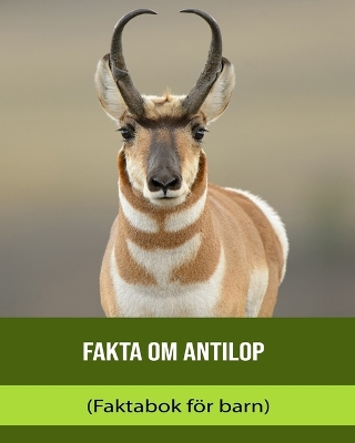 Book cover for Fakta om Antilop (Faktabok för barn)