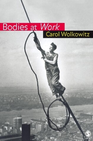 Cover of Bodies at Work