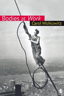 Book cover for Bodies at Work