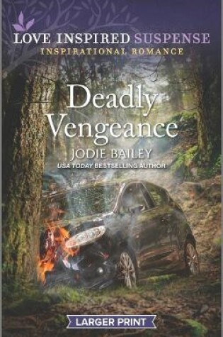 Cover of Deadly Vengeance