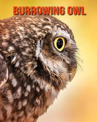 Book cover for Burrowing Owl