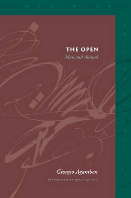 Cover of The Open