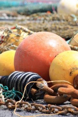 Book cover for Buoy and Nets on a Dock