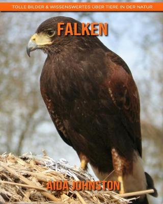 Book cover for Falken