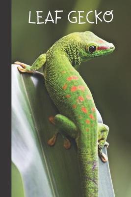 Book cover for Leaf Gecko