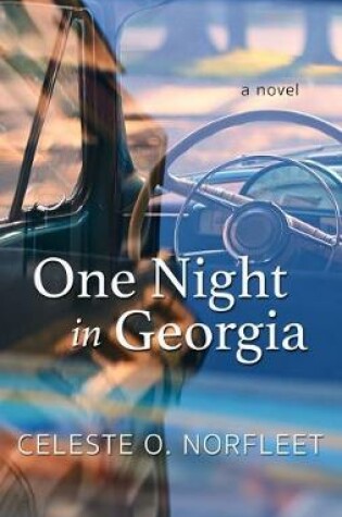 Cover of One Night in Georgia