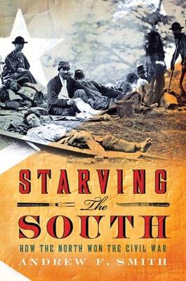 Book cover for Starving the South