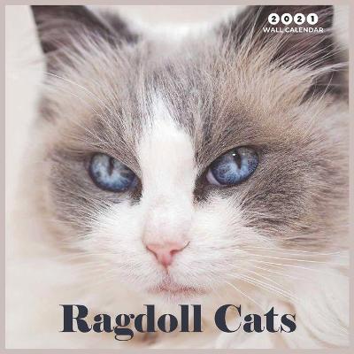 Book cover for Ragdoll Cats 2021 Wall Calendar