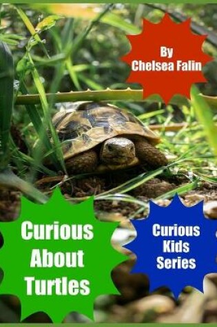 Cover of Curious About Turtles