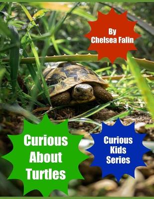 Book cover for Curious About Turtles