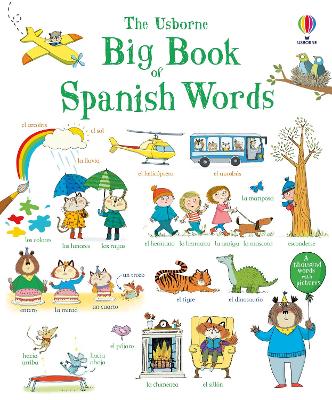 Book cover for Big Book of Spanish Words