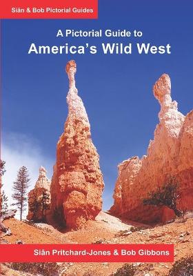 Book cover for America's Wild West