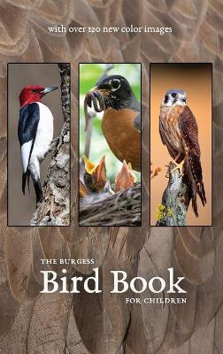 Book cover for The Burgess Bird Book with new color images