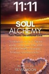 Book cover for Soul Alchemy 11