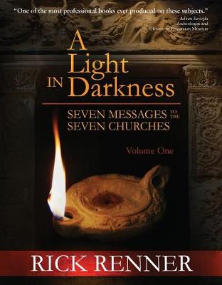 Book cover for Light In The Darkness, A