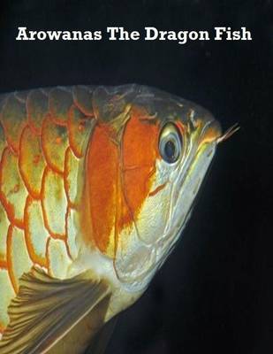 Book cover for Arowanas the Dragon Fish