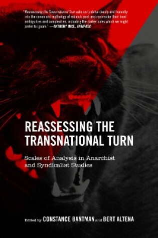 Cover of Reassessing The Transnational Turn