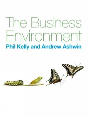 Book cover for The Business Environment