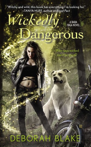 Book cover for Wickedly Dangerous