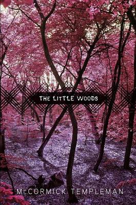 Book cover for The Little Woods