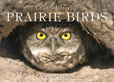 Book cover for A Celebration of Prairie Birds