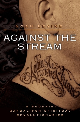Book cover for Against the Stream
