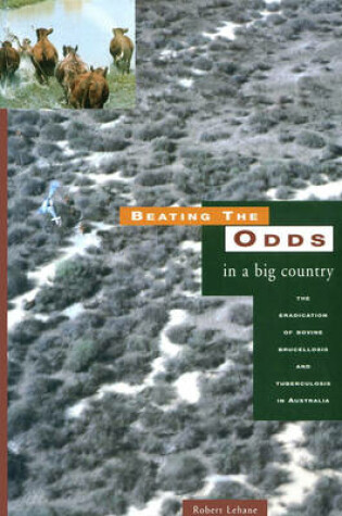 Cover of Beating the Odds in a Big Country