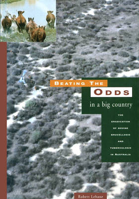 Cover of Beating the Odds in a Big Country