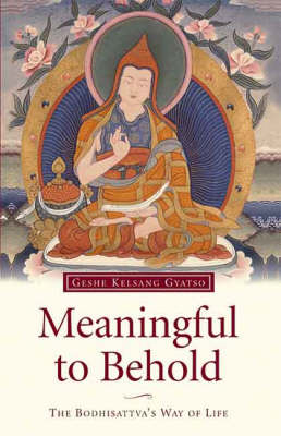 Book cover for Meaningful to Behold