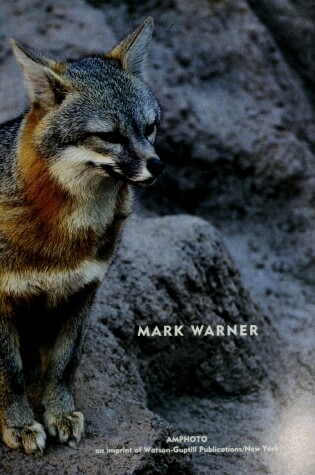 Cover of Best Places to Photograph North American Wildlife