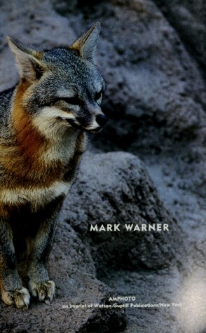 Book cover for Best Places to Photograph North American Wildlife