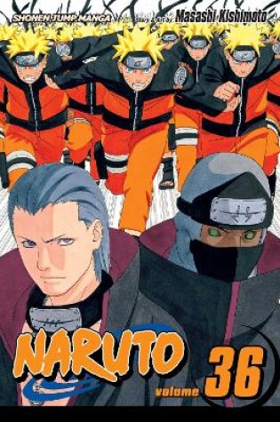 Cover of Naruto, Vol. 36