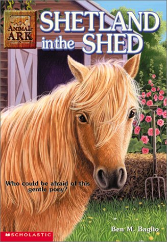 Book cover for Shetland in the Shed