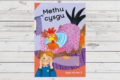 Book cover for Dyna Chi Dric: Methu Cysgu