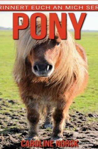 Cover of Pony