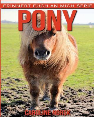 Book cover for Pony