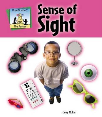 Book cover for Sense of Sight eBook